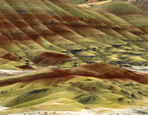 USA, Oregon, John Day Fossil Beds National Monument by Danita Delimont