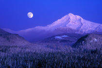 Moonrise over Mt Hood winter, Oregon by Danita Delimont