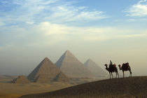 Egypt, Giza Camels, driver, Pyramids Complex Giza Plateau Desert von Danita Delimont