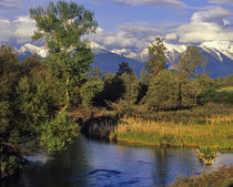 Mission Creek runs through the National Bison Range with Mission Mountains by Danita Delimont