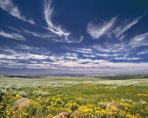 USA, Oregon, Steens Mountain von Danita Delimont