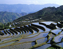 Asia, China, Yunnan von Danita Delimont