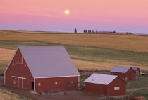 NA, USA, Washington, NW of Colfax Moonrise at sunset with red barns by Danita Delimont