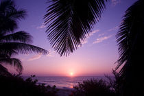 Sunset at West End, Cayman Brac, Cayman Islands, Caribbean. von Danita Delimont