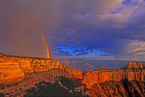 United States, Arizona, Grand Canyon National Park von Danita Delimont