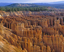 USA, Utah, Bryce Canyon NP. The striking hoodoos of Bryce Canyon National Park by Danita Delimont