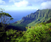 USA, Kauai, Hawaii. View above the Na Pali Coast. Credit as by Danita Delimont