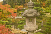 USA, Washington State, Seattle. Japanese Garden, Washington Park Arboretum. by Danita Delimont