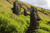Moai by the quarry in the crater of Rano Raraku Volcano, Rapa Nui von Danita Delimont