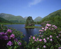 Glen Etive, Highlands, Scotland von Danita Delimont