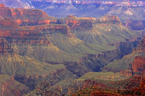 United States, Arizona, Grand Canyon National Park von Danita Delimont