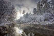Hoarfrost along a slough at the Kelly Island FWP area along the Clark Fork River von Danita Delimont
