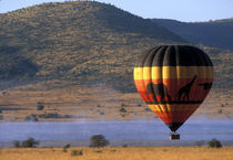 South Africa, Pilanesburg Game Reserve, Hot air balloon near Sun City by Danita Delimont