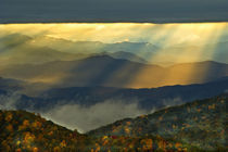 USA, North Carolina, Great Smoky Mountains by Danita Delimont
