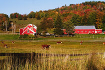 Vermont farm in the fall. USA, Vermont. RELEASE AVAILABLE. by Danita Delimont