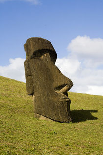 Moai by the quarry on the outer slope of the Rano Raraku Volcano, Rapa Nui von Danita Delimont