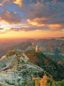 USA, Arizona, Grand Canyon National Park von Danita Delimont