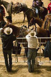 USA-TEXAS-Fort Worth: Cowboys at Indoor Rodeo (NR) Will Rogers Memorial Center by Danita Delimont