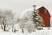 North America, USA, WA, Whidbey Island.  Festive red barn in fresh snow von Danita Delimont