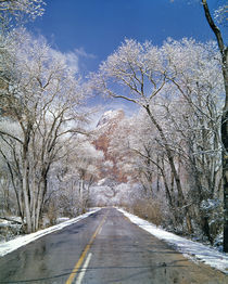 USA, Utah, Zion NP. Snow melts on the roadway in Zion National Park, Utah. von Danita Delimont