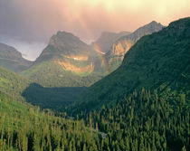 USA, Montana, Glacier NP von Danita Delimont