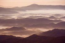 Morning fog in the southern Appalachian Mountains, North Carolina by Danita Delimont