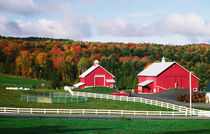 A farm in Vermont near Peacham. RELEASE AVAILABLE. by Danita Delimont