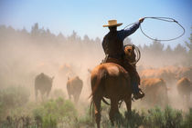 A cowboy out working the herd on a cattle drive through central Oregon. von Danita Delimont