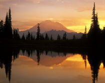 USA, Washington, Mt Rainier NP, Upper Tipsoo Lake reflection at sunset von Danita Delimont