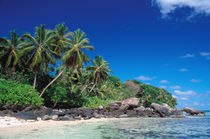 Seychelles, Mahe Island, Anse Royale Beach. von Danita Delimont