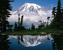  Mount Rainier (14,410 Ft.) ,Tatoosh Range von Danita Delimont