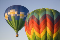 WA, Prosser, The Great Prosser Balloon Rally, Hot air balloons in flight von Danita Delimont