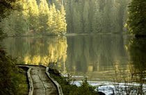 USA, Alaska, near Ketchikan, Naha Lagoon von Danita Delimont