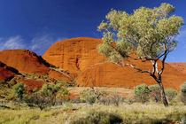 Northern Territory, Outback, Australia von Danita Delimont