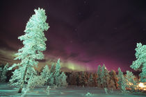 The Aurora borealis is a phenomenon of light by Danita Delimont