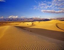 Mesquite Flat Sand dunes in Death Valley National Park in California by Danita Delimont