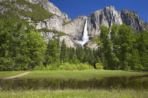 CA, Yosemite NP, Upper Yosemite Falls von Danita Delimont