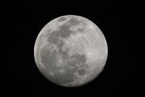 Full moon in black and white. Credit as von Danita Delimont