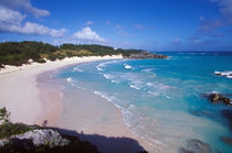 Caribbean, Bermuda, Southampton Parish, Horseshoe Bay. Pink sand beach von Danita Delimont