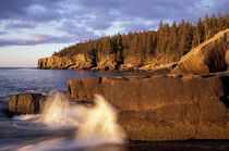 North America, US, ME, The rocky Maine coast. von Danita Delimont