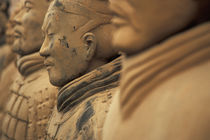 The Army of terra cotta warriors at Emperor Qin Shihuangdi's Tomb, China von Danita Delimont