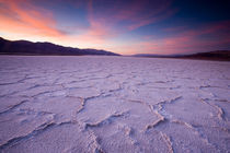 Pressure ridges in the salt pan near Badwater, Death Valley N.P., California. von Danita Delimont