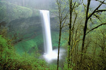 North America, USA, Oregon, Silver Falls State Park. South Falls drops 177 feet von Danita Delimont