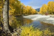 Methow River in Autumn, Winthrop, Washington, USA von Danita Delimont