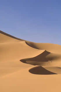 Erg Awbari, Sahara desert, Fezzan, Libya. by Danita Delimont