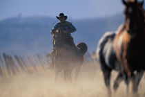 North America, USA, Oregon. Cowboy riding horse by Danita Delimont