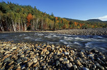 A cobble beach on the Saco River in New Hampshire's White Mountains von Danita Delimont