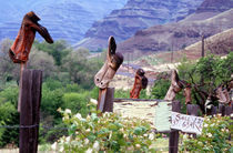 Weathered boots, fenceposts, Imanha river canyon, Oregon von Danita Delimont