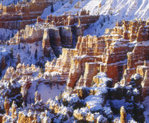 USA, Utah, Bryce Canyon National Park by Danita Delimont