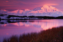 Mt. Denali at sunset from Reflection Pond by Danita Delimont